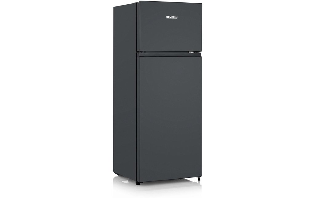 Severin Réfrigérateur DT 8762 Noir, Droite, Changeable