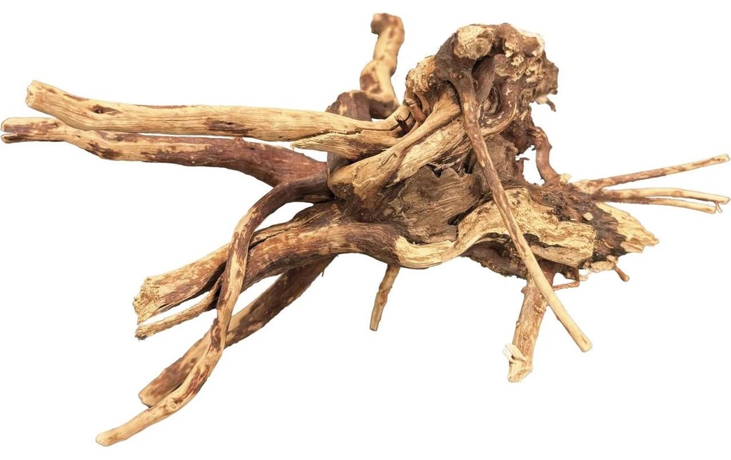 Bio Art Bois d'araignée naturel 10-15 cm