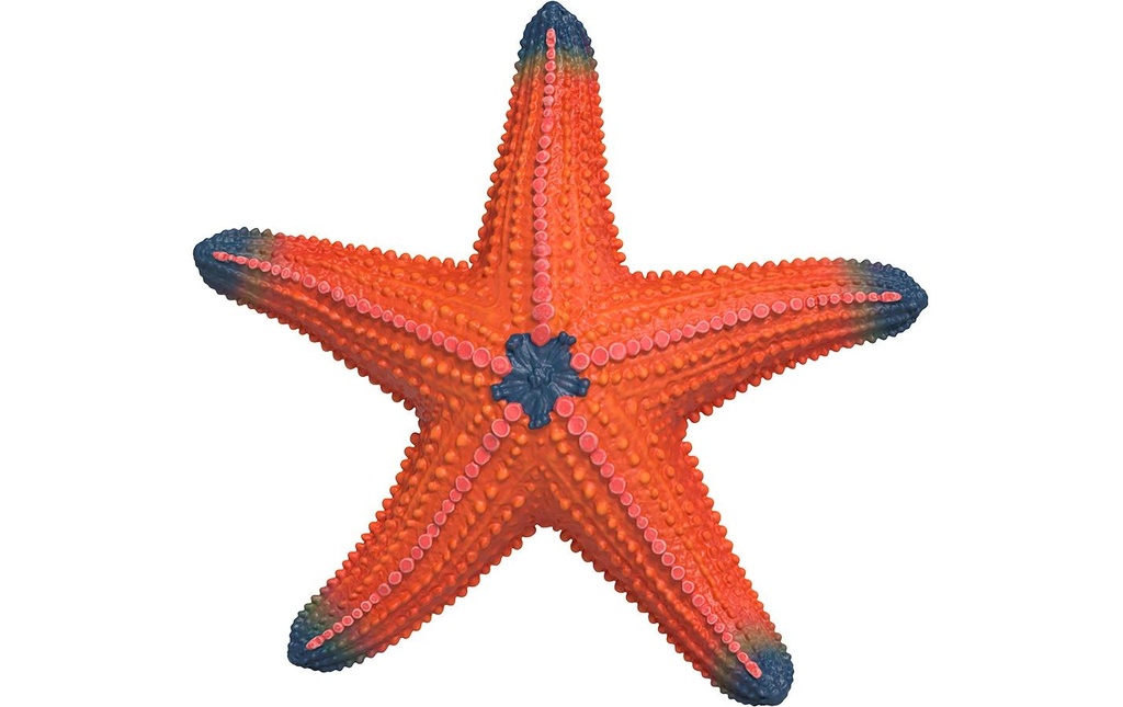 Schleich Figurine de jeu Étoile de mer