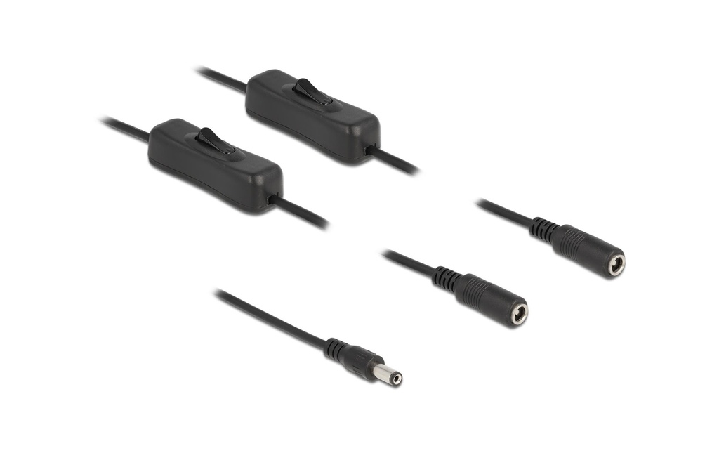 Delock Connecteur à fiche creuse Câble DC 5.5 x 2.1 mm à 2 x DC avec interrupteur, 1 m