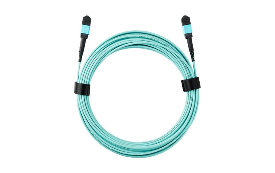 Zyxel Câble patch à fibre optique MTP Câble à fibre optique MPO-10M