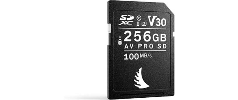 Angelbird Carte SDXC AV Pro SD V30 Mk2 256 GB