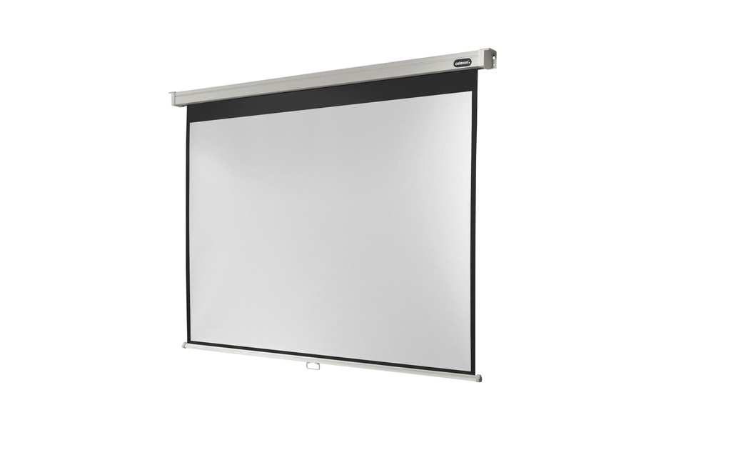 Celexon Écran mural enroulable Pro 290x218 cm 4:3