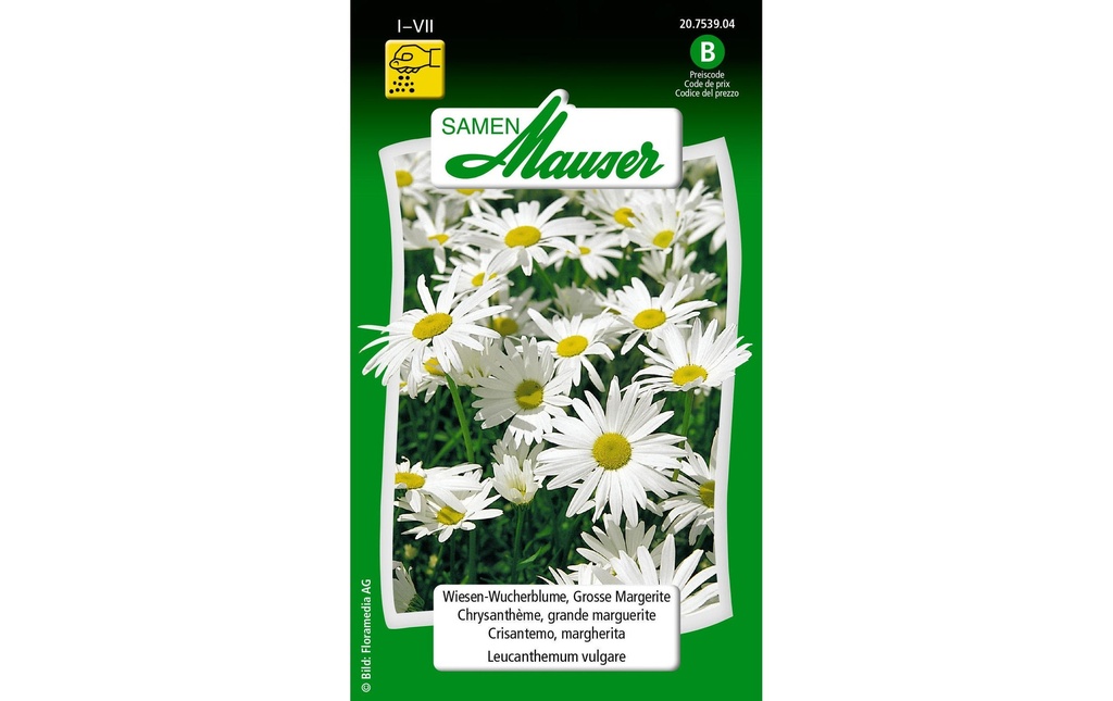 Samen Mauser Semence PrairiesFleurs, Grande Marguerite