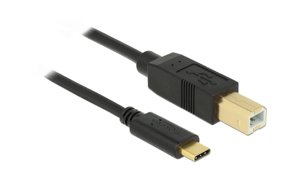 Delock Câble USB 2.0  USB-C - USB-B 4 m
