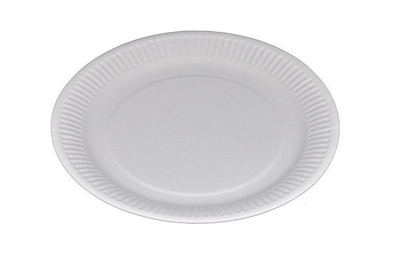 Webstar Assiettes jetables 23 cm, 100 Pièce/s, Blanc