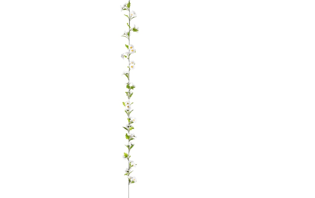 Dekomat AG Plante artificielle Guirlande de marguerites 180 cm, Vert, Blanc