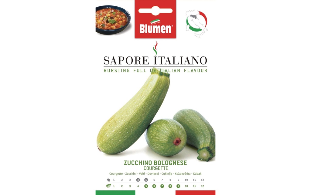 Blumen Semence courgette bolognaise
