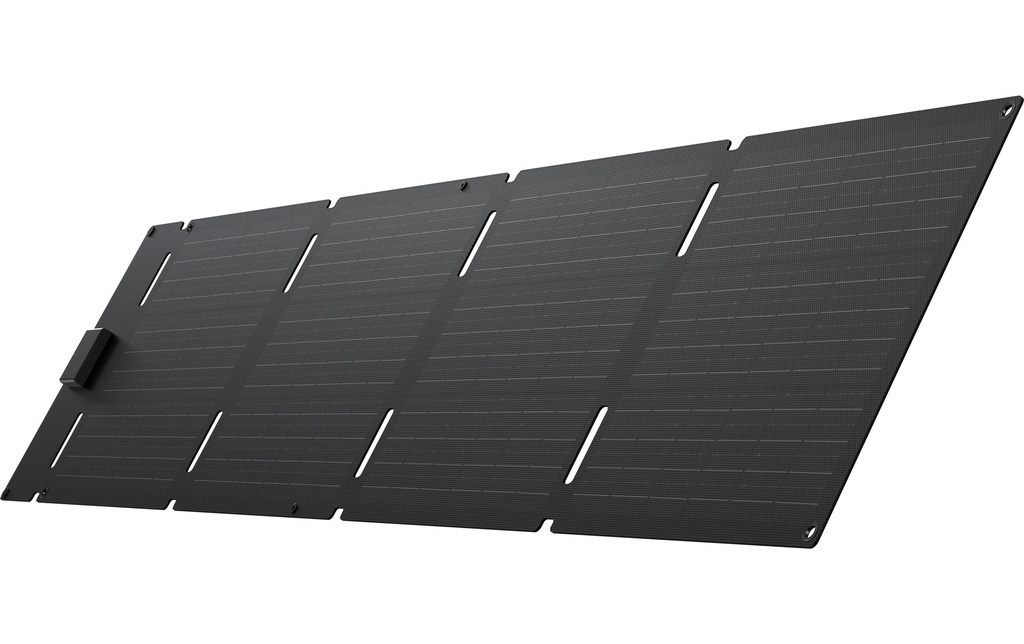 EcoFlow Panneau solaire (Type-C) 60 W
