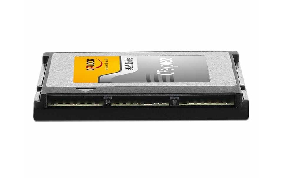 Delock Carte CFexpress 54064 64 GB