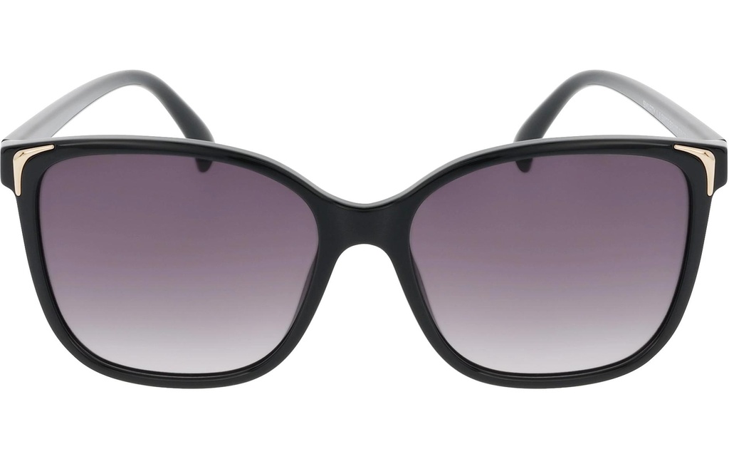 SMARTY Lunettes de soleil Frutigen Black, avec étui