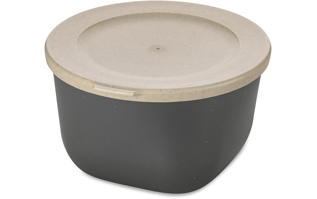 Koziol Boîte à provisions Connect 1 l, Gris