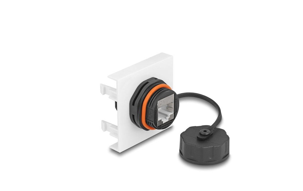 Delock Easy 45 Module RJ45 Cat.6A, 45 x 45 mm