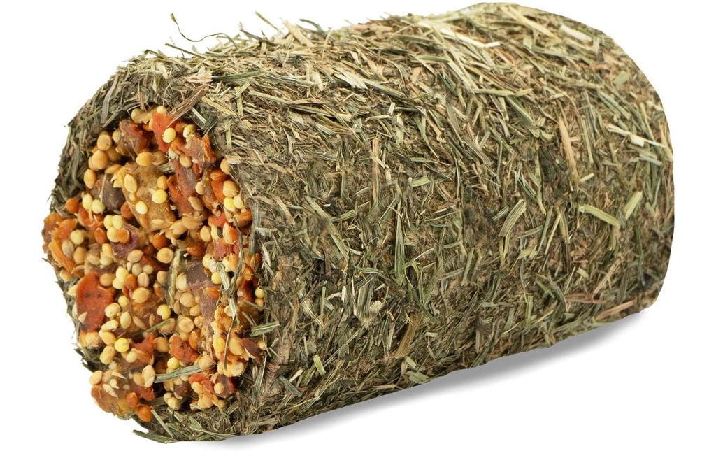 JR Farm Tunnel gourmand de foin carotte 125 g
