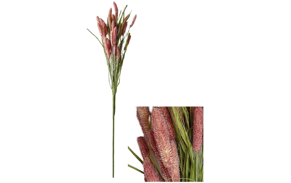 CHALET Tige de fleur Setaria 70 cm, Rose