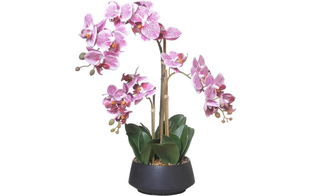 CHALET Fleur artificielle Orchidée en pot 58 cm, Blanc/Rose