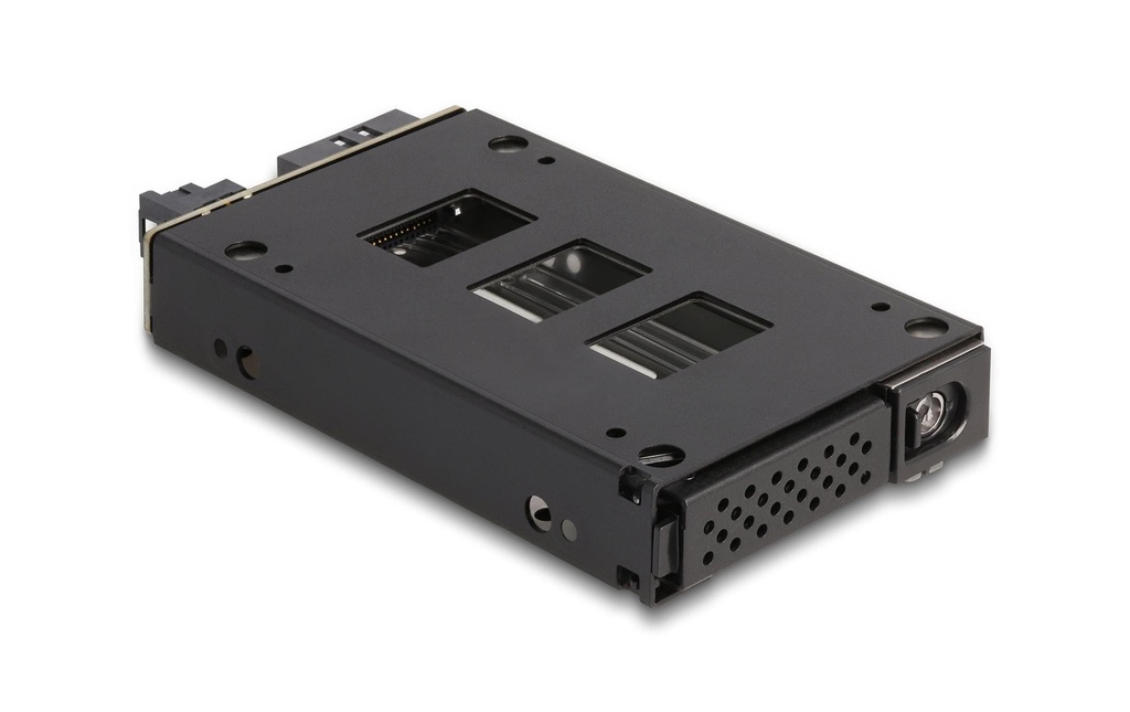 Delock Rack amovible U.2 NVMe 2.5