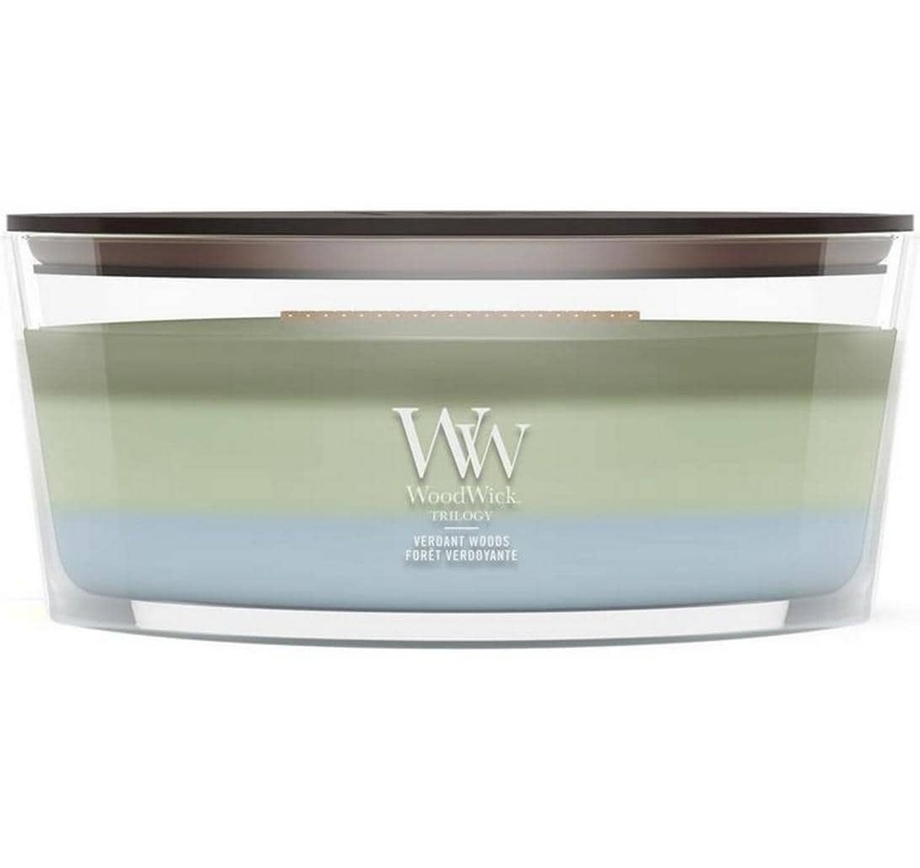 Woodwick Bougie parfumée Verdant Woods Trilogy Ellipse