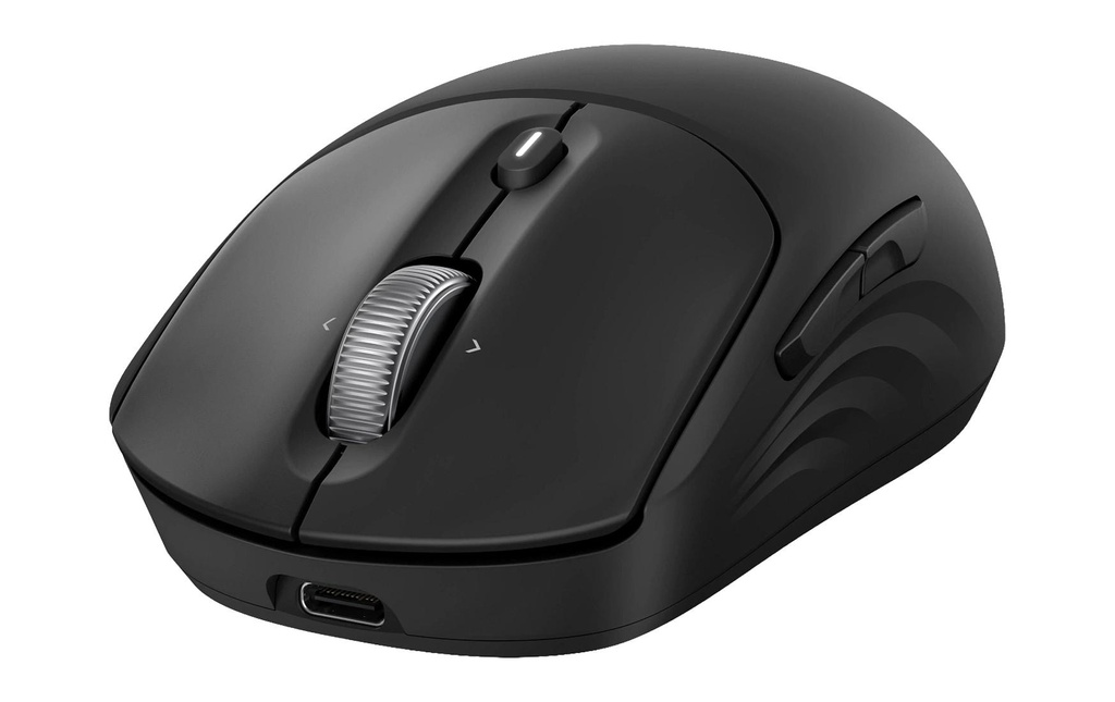 HP 700 Souris sans fil rechargeable