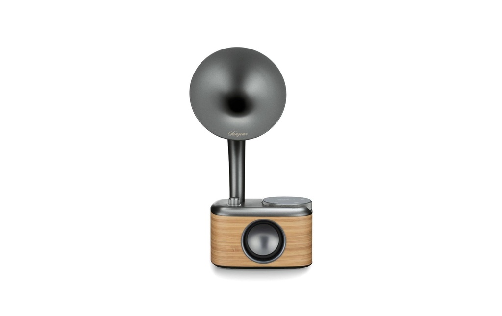 Sangean Radio CP-100D Gris/Brun clair