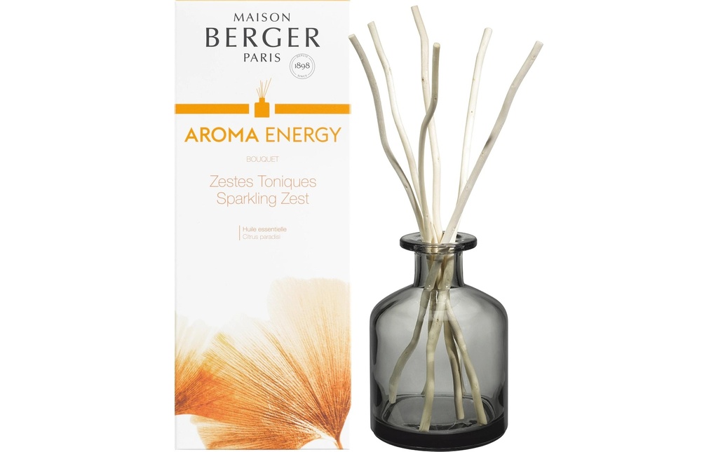Maison Berger Bâtonnets parfumés Aroma Energy- Zestes Toniques 180 ml