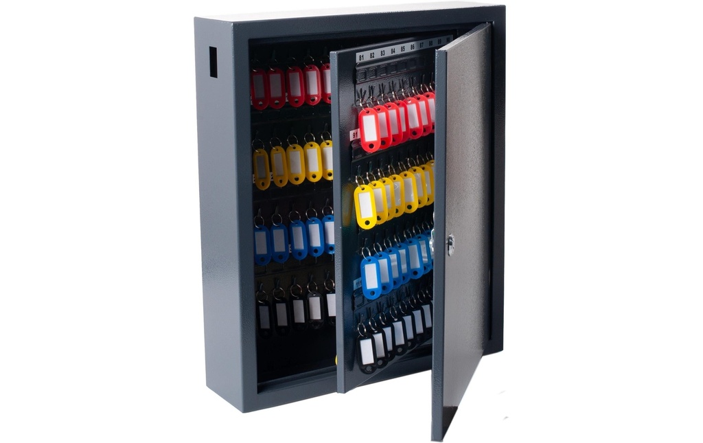 Pavo Armoire à clés Deluxe 150 crochets, gris