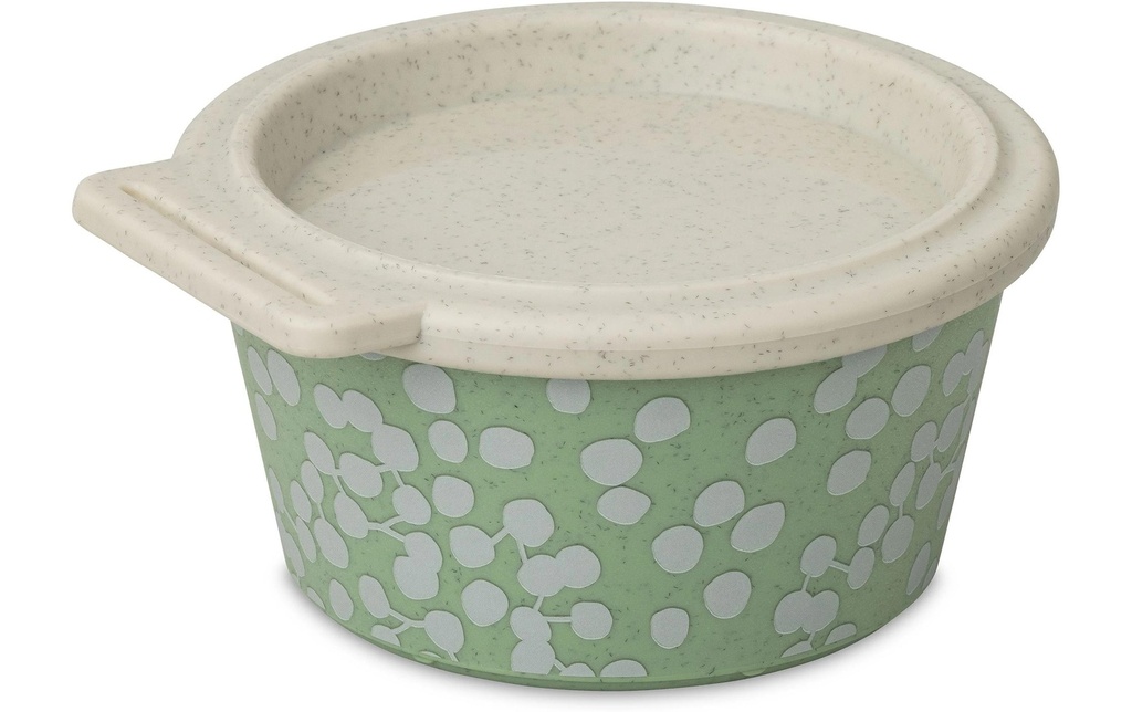 Koziol Blomster Box Dot 1 Pièce/s, Vert