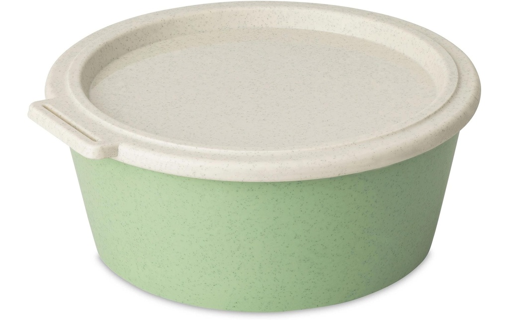 Koziol Coupe Move Box avec couvercle 1.3 l, Vert