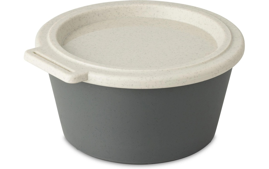 Koziol Coupe Move Box avec couvercle 700 ml, Gris
