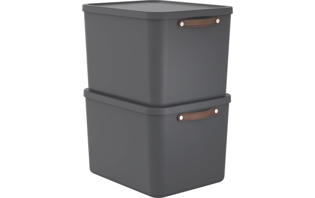 Rotho Boîte de rangement MALOJA 55 l, gris, 2 pièces