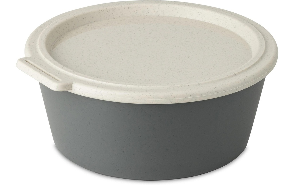 Koziol Coupe Move Box avec couvercle 1.3 l, Gris