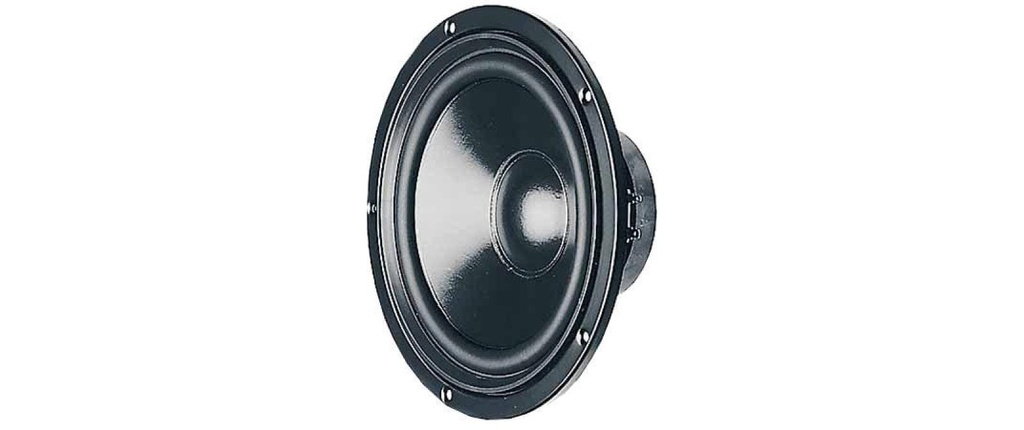 Visaton Haut-parleur de graves HiFi W 170 S, 4 Ω