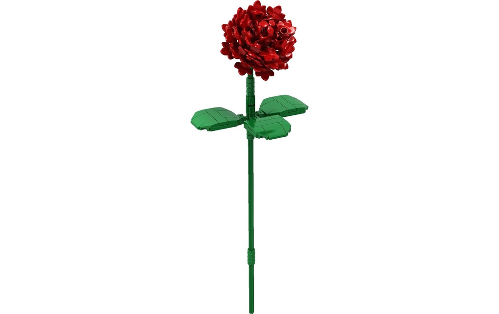 Brixies Plus Rose