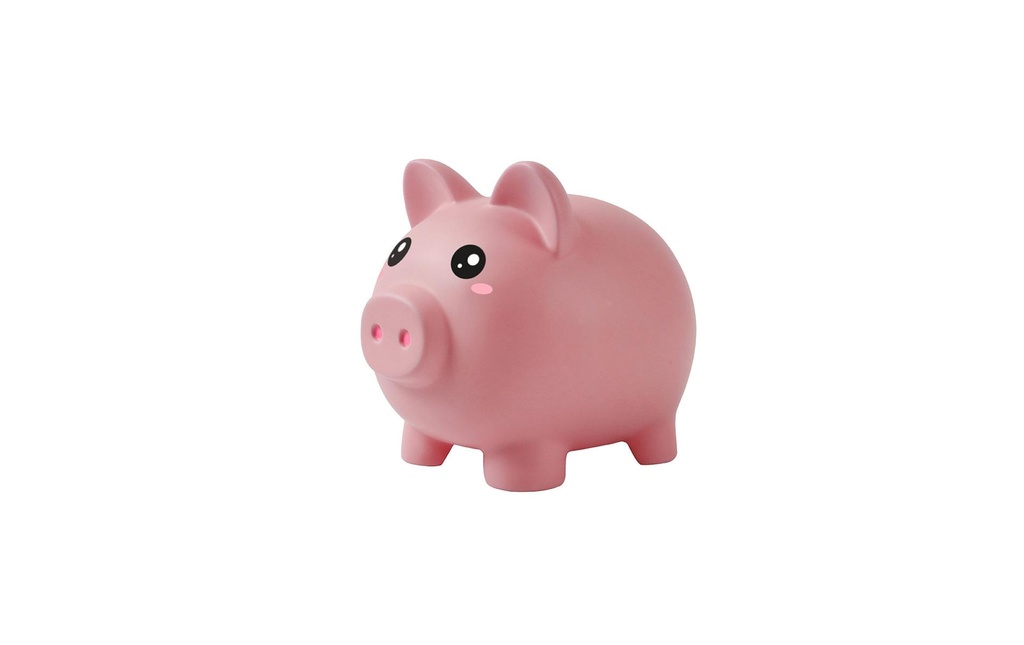 Basteln Tirelire Cochon
