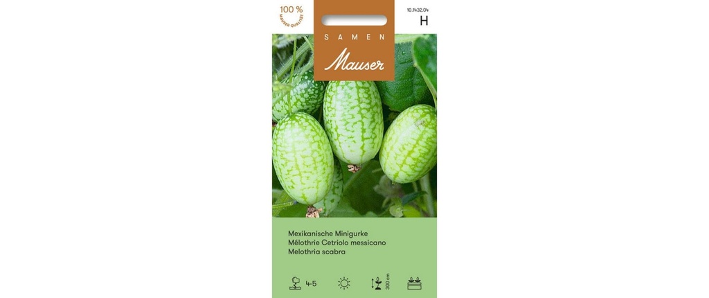 Samen Mauser Semence Mini-concombre mexicain Plante grimpante