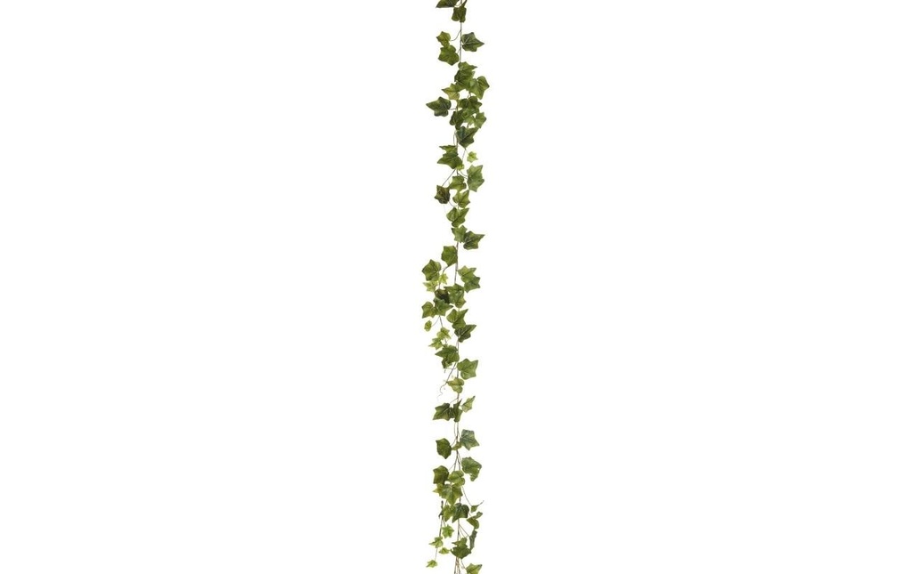 Botanic-Haus Guirlande de lierre vert 180 cm