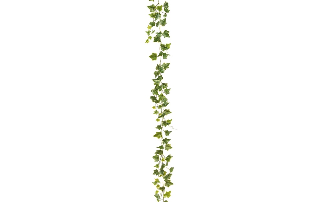 Botanic-Haus Guirlande de lierre vert/blanc 180 cm
