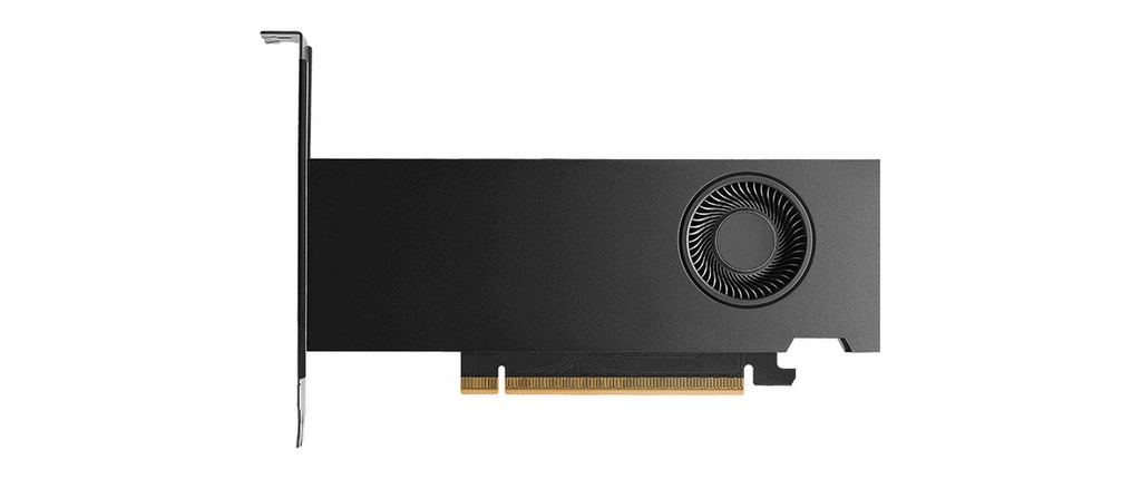 Dell Carte graphique RTX PRO 2000 Blackwell NVIDIA 16 Go GDDR7