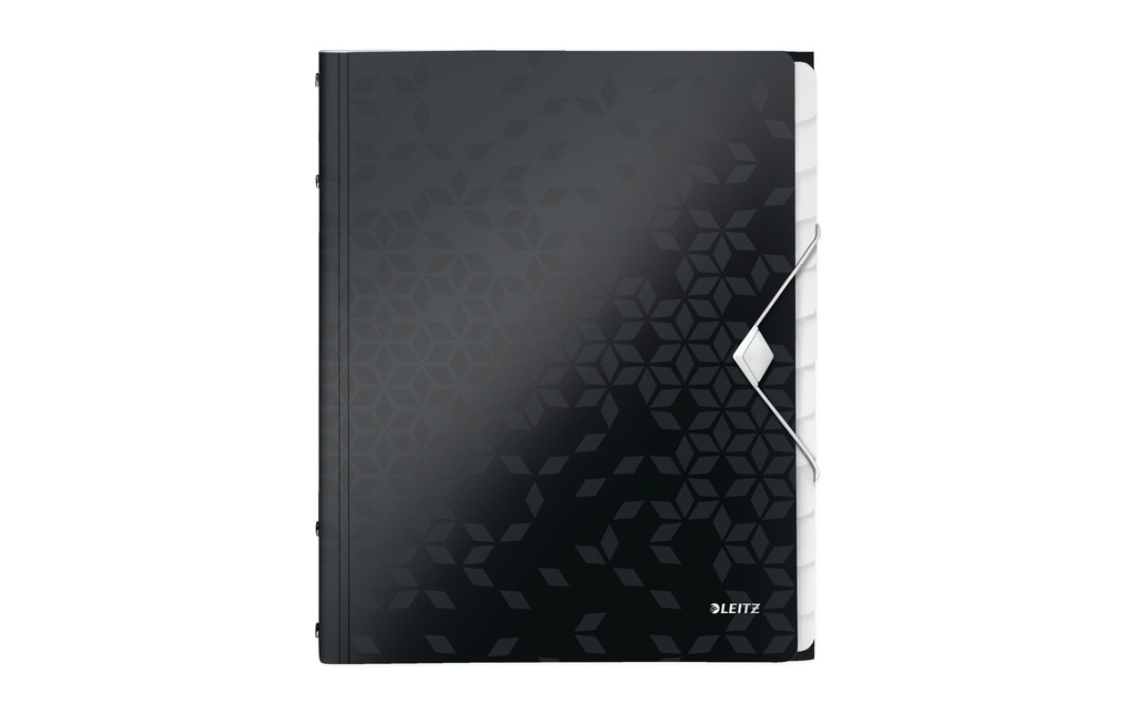 LEITZ Doss.comp.WOW A4 12comp.noir