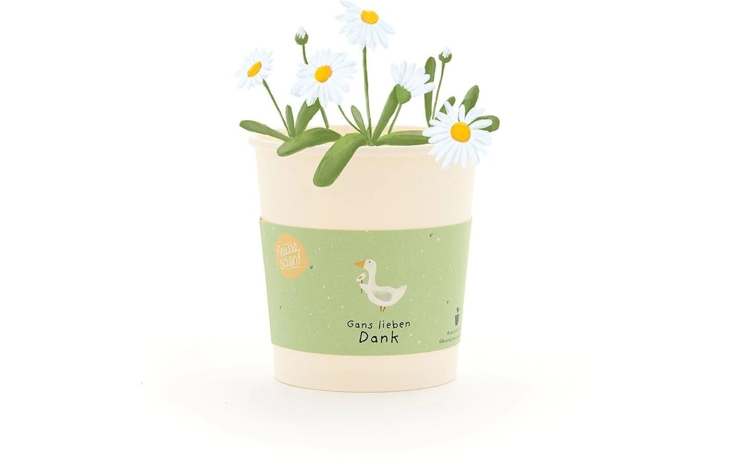 Die Stadtgärtner Salutations florales «Gans lieben Dank»
