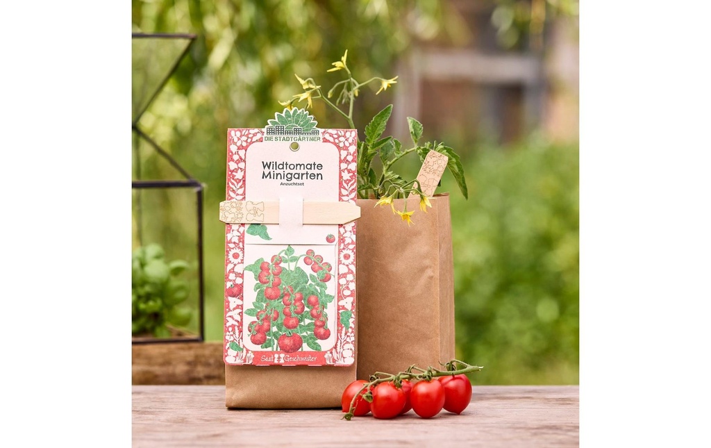 Die Stadtgärtner Kit de culture tomate sauvage