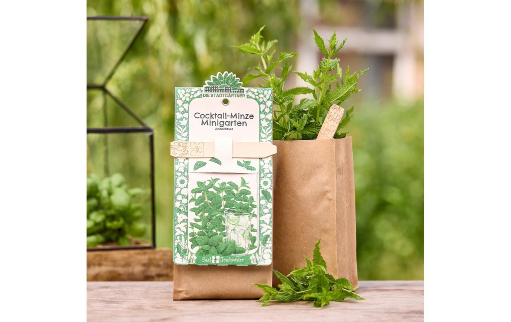 Die Stadtgärtner Kit de culture Cocktail Menthe