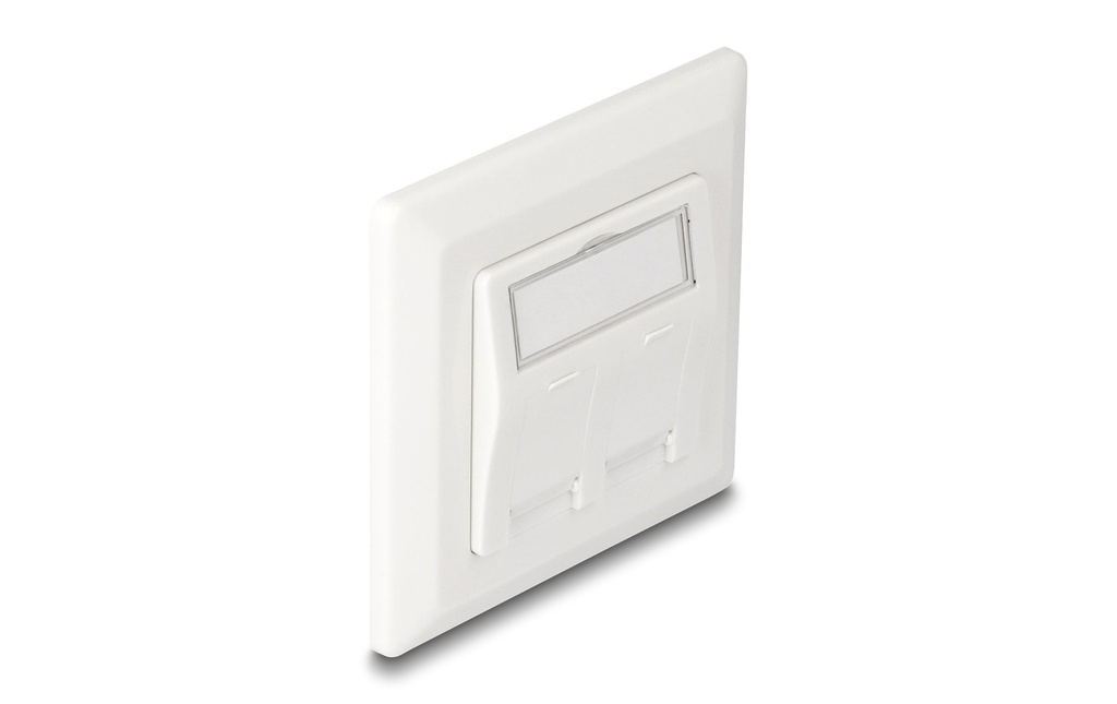 Delock Kits de montage Boîte de jonction Keystone 2 ports