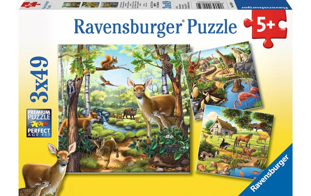 Ravensburger Puzzle Animaux de forêt/de zoo/de compagnie 3 x 49 pièces