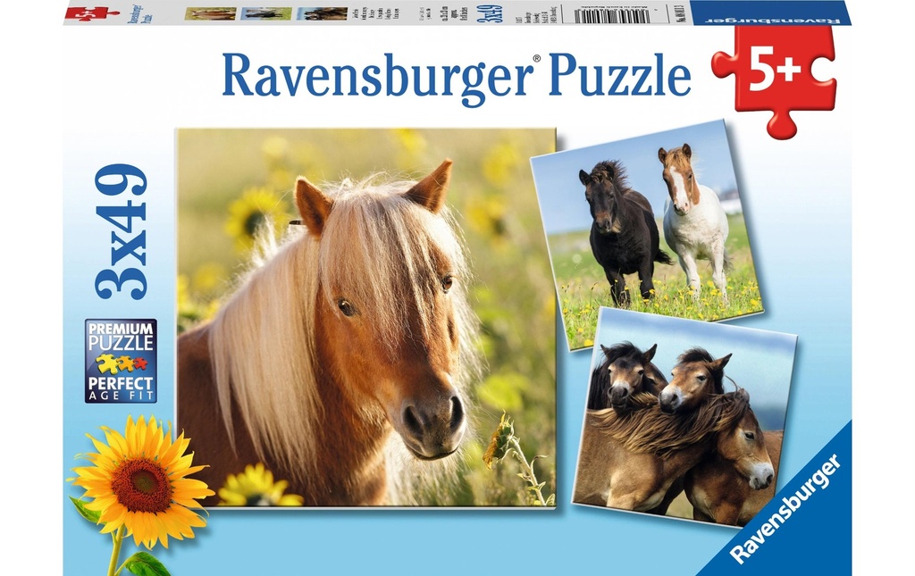 Ravensburger Puzzle Chers chevaux 3 x 49 pièces