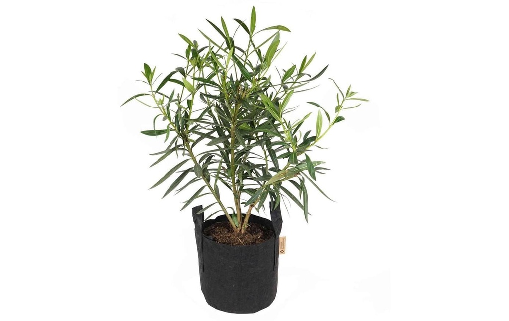 Gorilla Gardening Sac à plantes Noir
