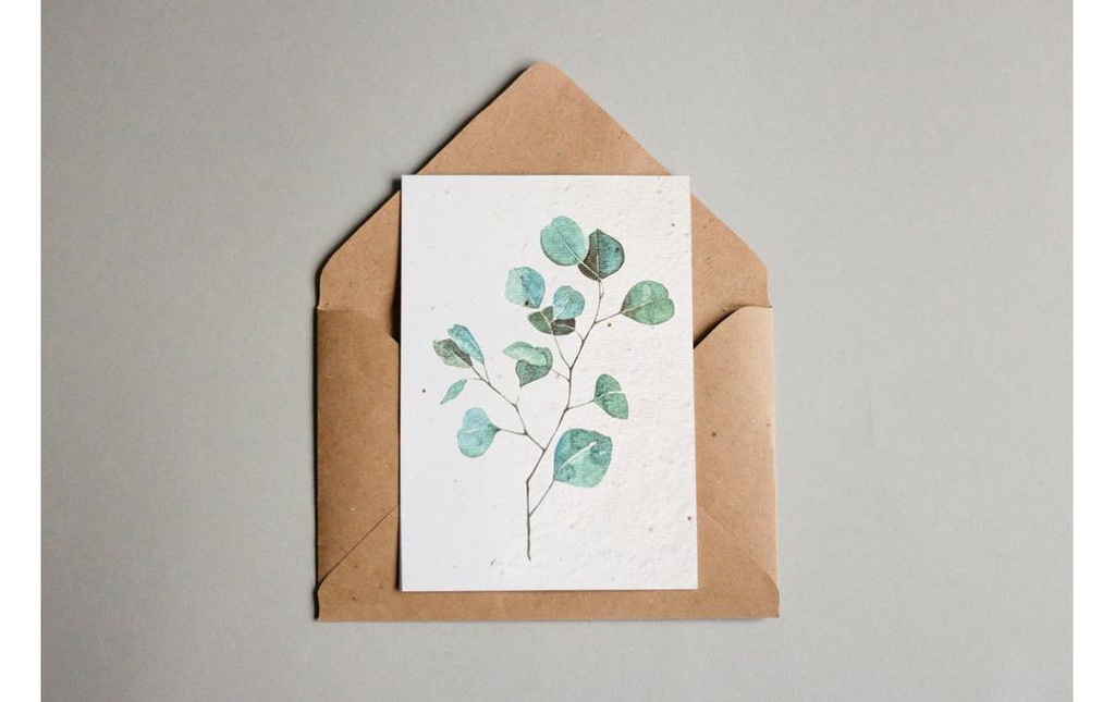 Gorilla Gardening Cartes postales en papier à graines – Eucalyptus A6
