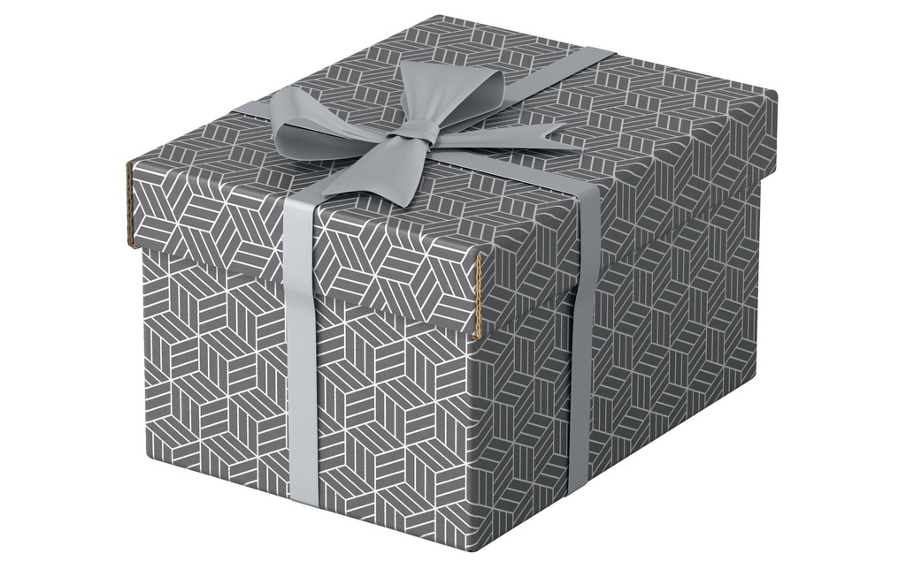 ESSELTE Box archive Home S 3pcs gris (3 pces)