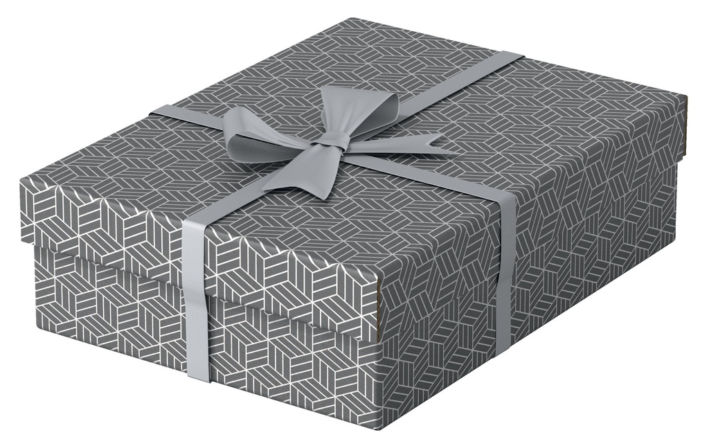 ESSELTE Box archive Home M plat 3p.gri (3 pces)