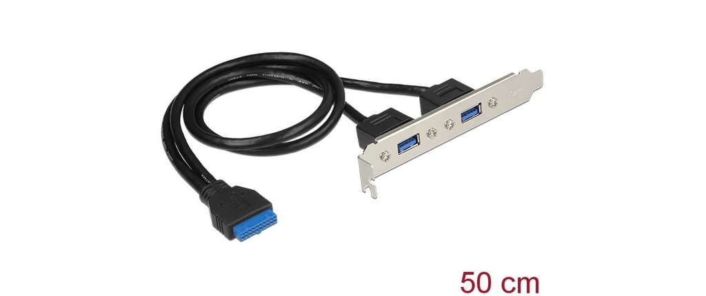 Delock Plaque d'encastrement 1x19 broches, 2xUSB-A